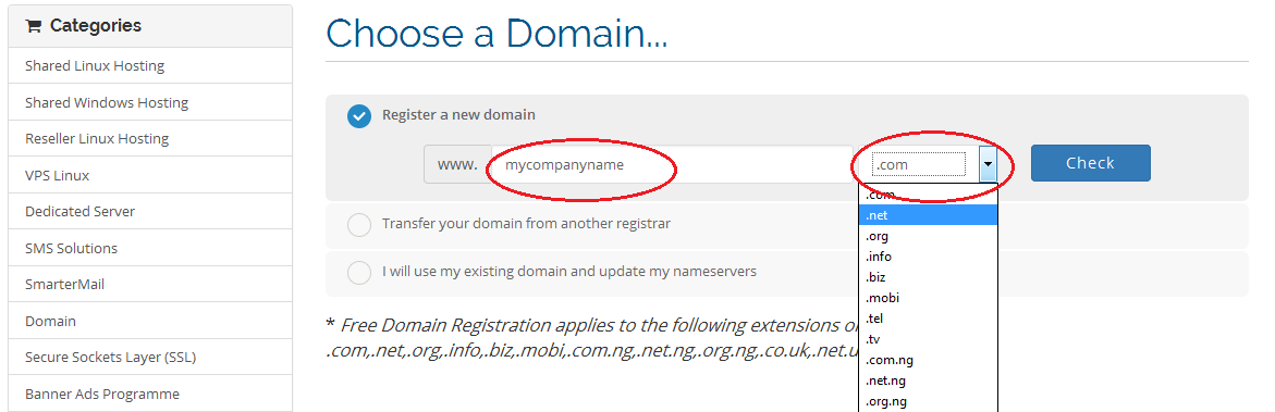 Choose a Domain Name